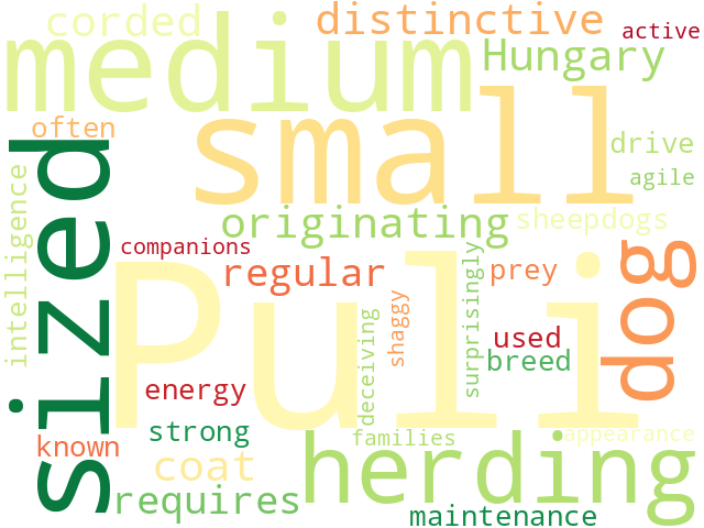Word Cloud for puli