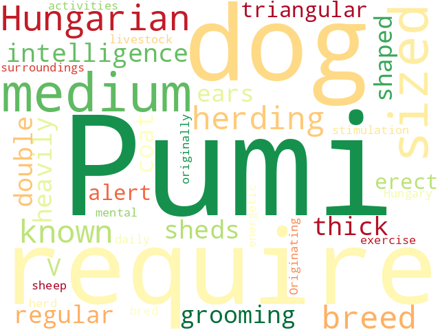 Word Cloud for pumi
