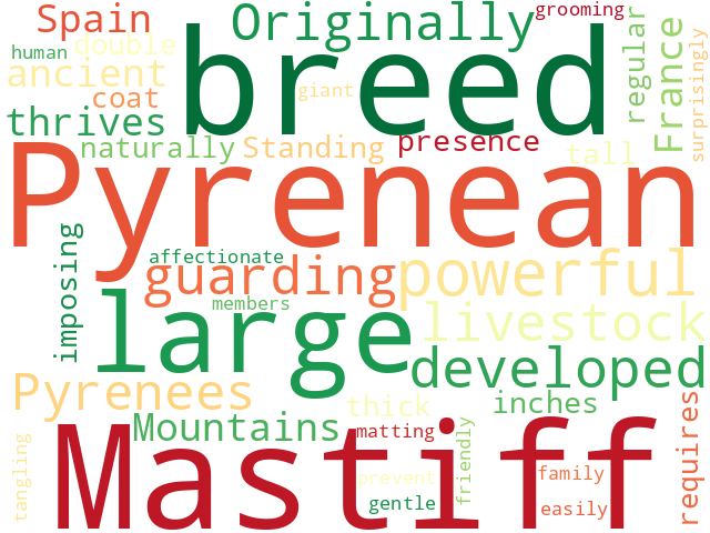 Word Cloud for pyrenean_mastiff