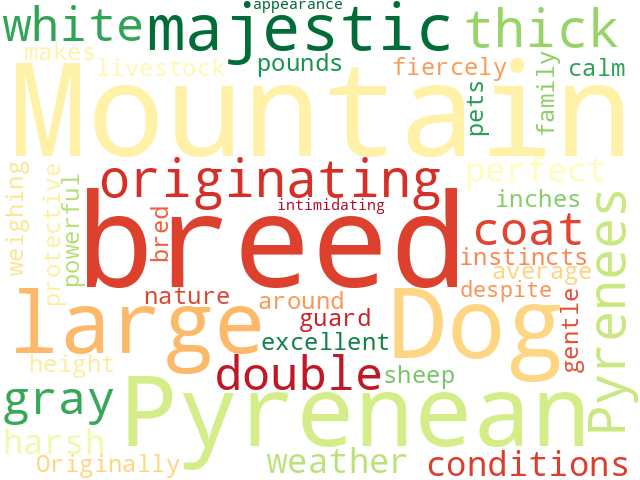 Word Cloud for pyrenean_mountain_dog