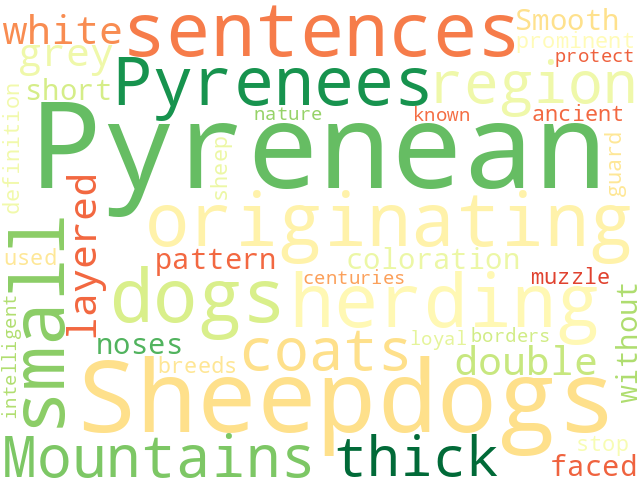 Word Cloud for pyrenean_sheepdog_smooth_faced