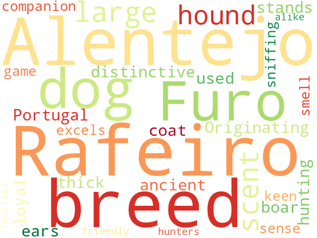 Word Cloud for rafeiro_of_alentejo