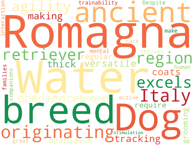 Word Cloud for romagna_water_dog