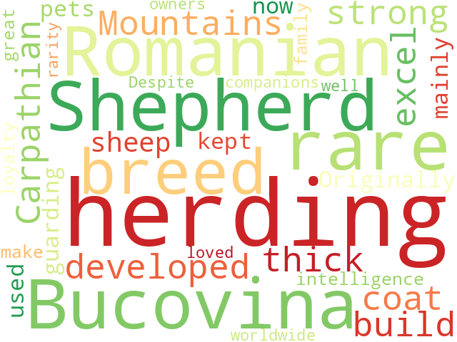 Word Cloud for romanian_bucovina_shepherd
