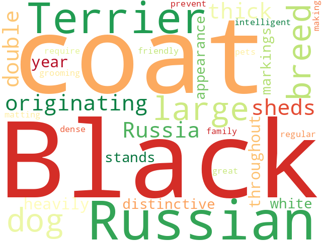 Word Cloud for russian_black_terrier