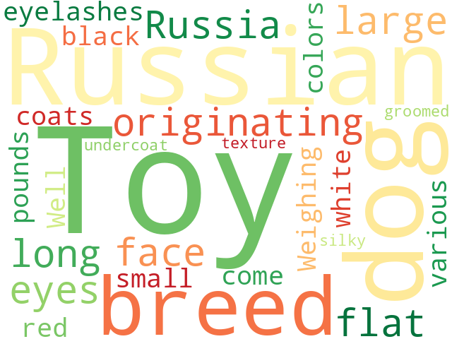 Word Cloud for russian_toy