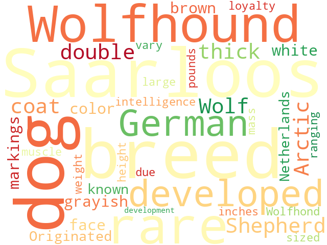 Word Cloud for saarloos_wolfhond