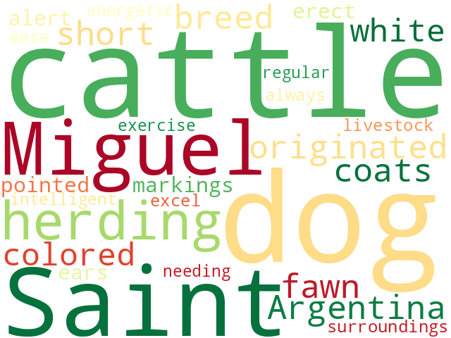 Word Cloud for saint_miguel_cattle_dog