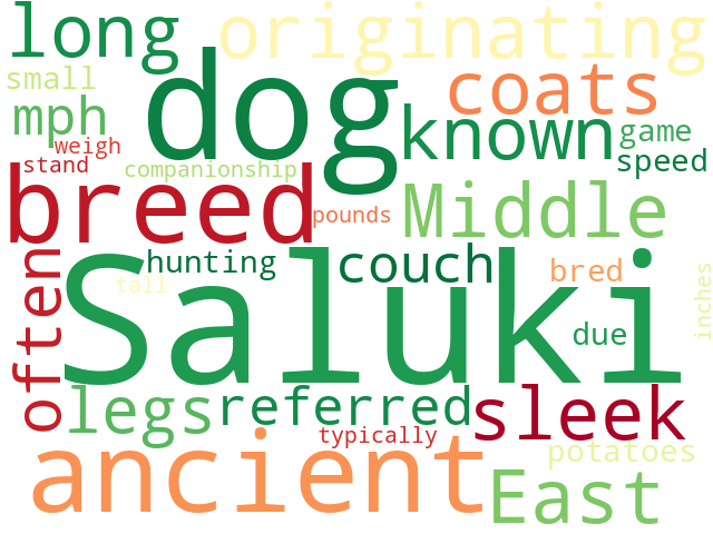 Word Cloud for saluki