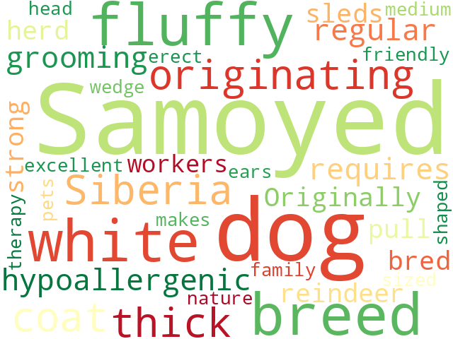 Word Cloud for samoyed