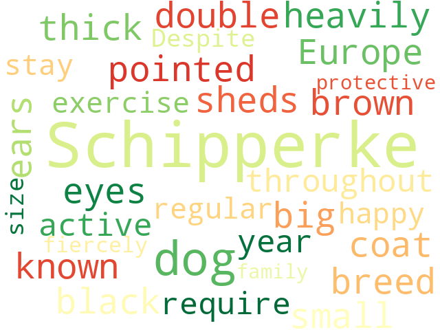 Word Cloud for schipperke