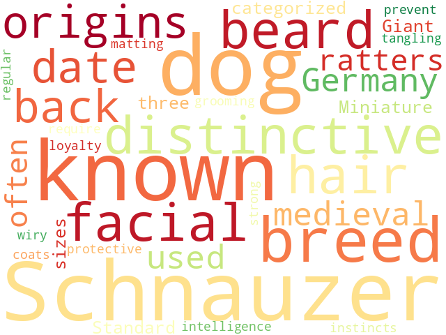 Word Cloud for schnauzer
