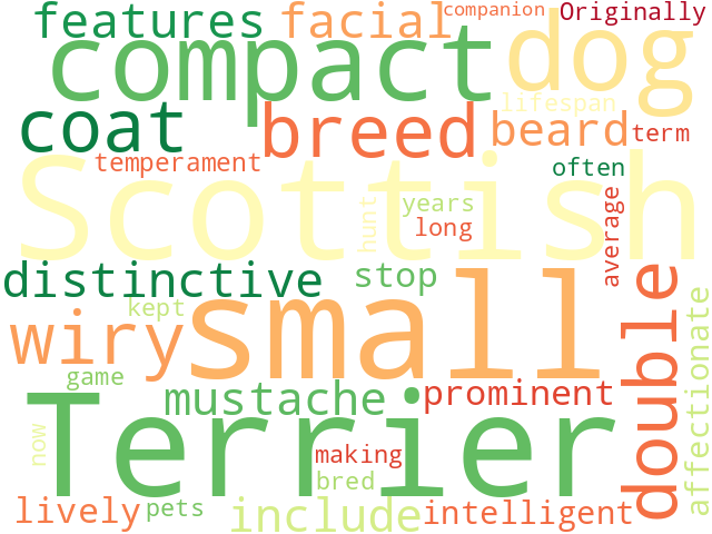 Word Cloud for scottish_terrier