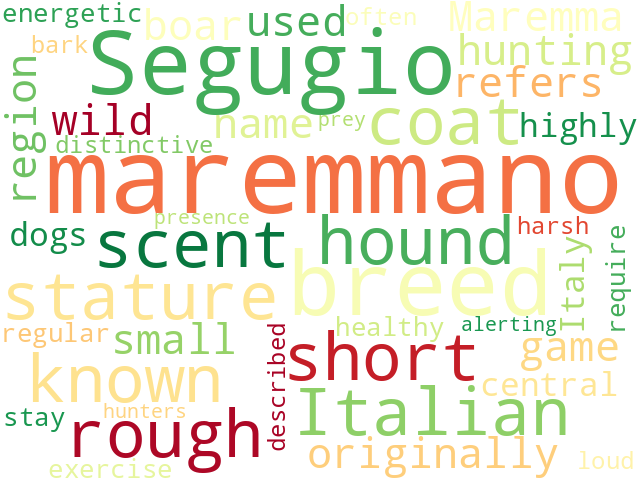 Word Cloud for segugio_maremmano