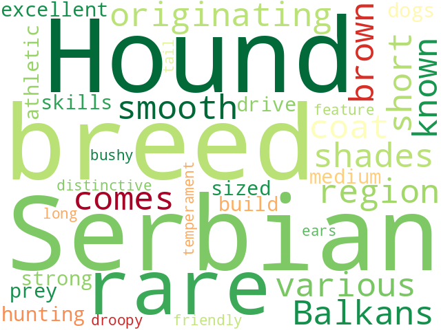 Word Cloud for serbian_hound
