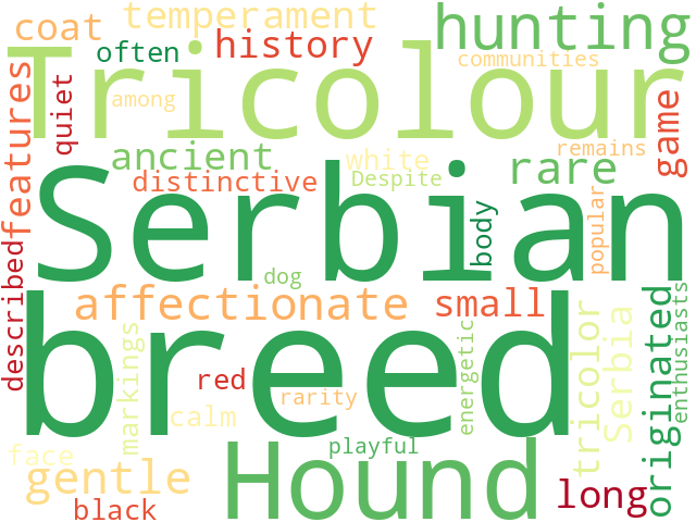 Word Cloud for serbian_tricolour_hound