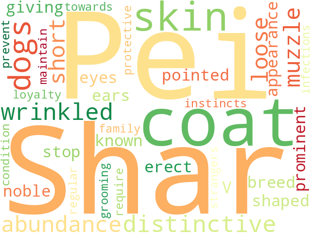Word Cloud for shar_pei