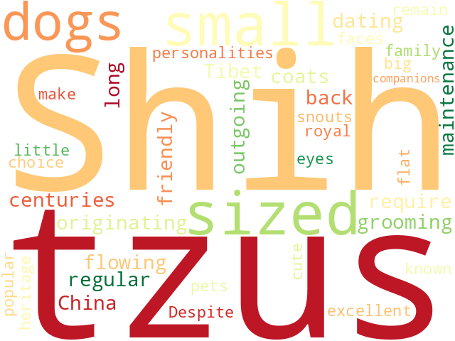 Word Cloud for shih_tzu