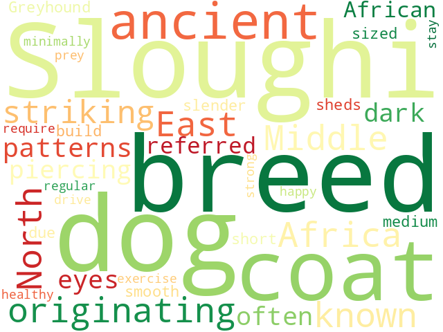 Word Cloud for sloughi