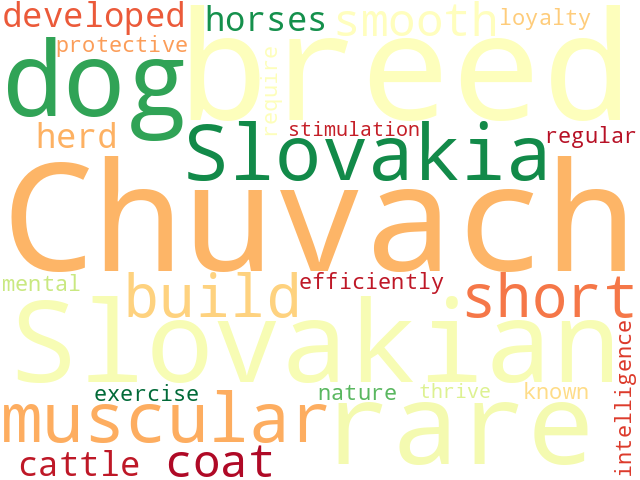 Word Cloud for slovakian_chuvach