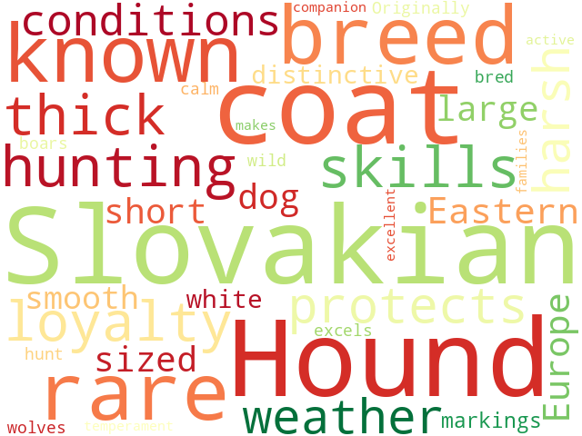 Word Cloud for slovakian_hound