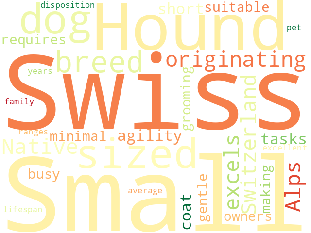 Word Cloud for small_swiss_hound