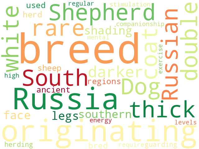Word Cloud for south_russian_shepherd_dog