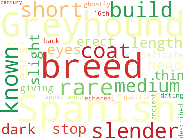Word Cloud for spanish_greyhound