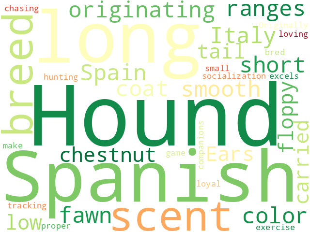 Word Cloud for spanish_hound