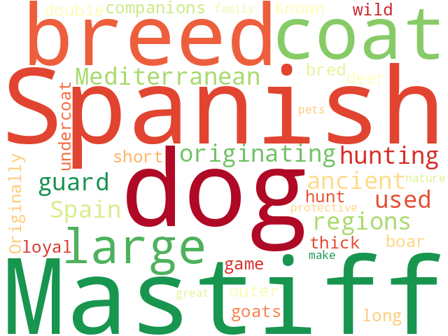 Word Cloud for spanish_mastiff