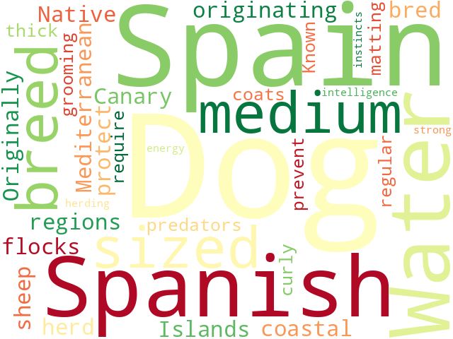 Word Cloud for spanish_water_dog