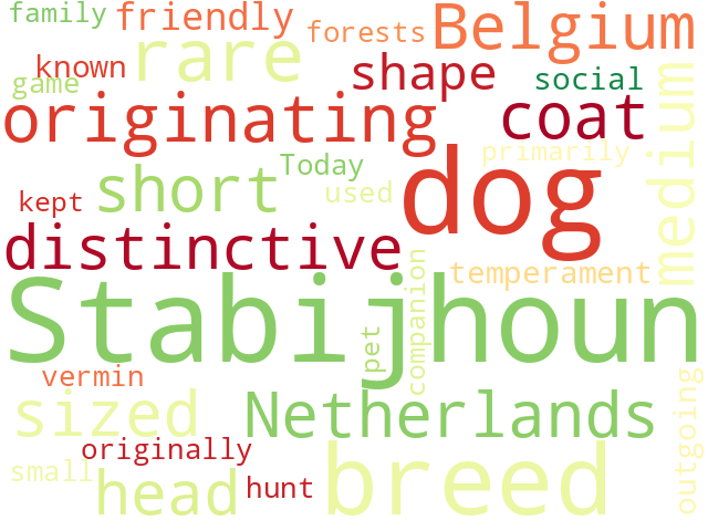 Word Cloud for stabijhoun