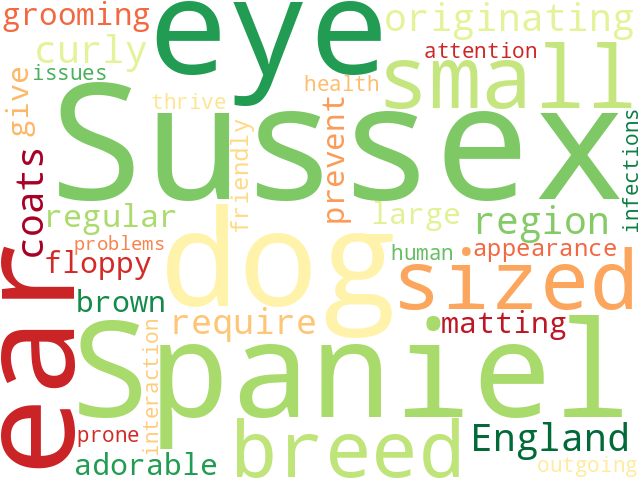 Word Cloud for sussex_spaniel