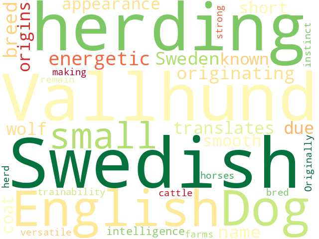 Word Cloud for swedish_vallhund