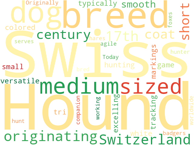 Word Cloud for swiss_hound