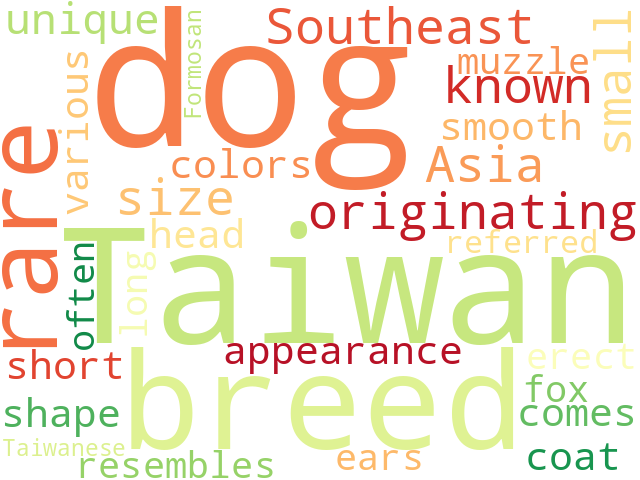 Word Cloud for taiwan_dog