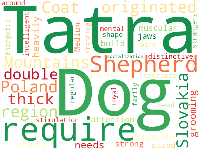 Word Cloud for tatra_shepherd_dog