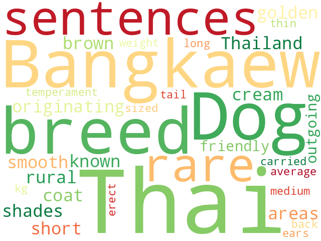Word Cloud for thai_bangkaew_dog