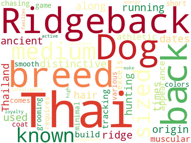 Word Cloud for thai_ridgeback_dog