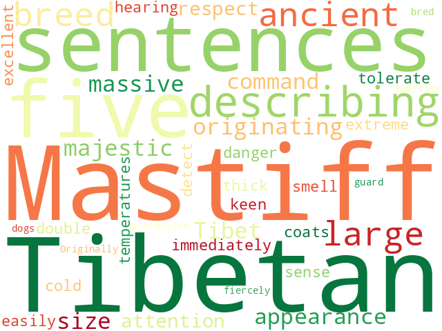 Word Cloud for tibetan_mastiff
