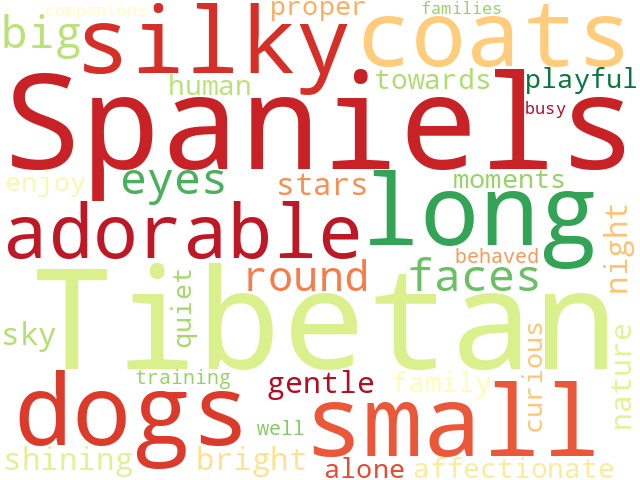 Word Cloud for tibetan_spaniel