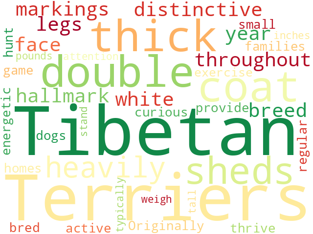 Word Cloud for tibetan_terrier
