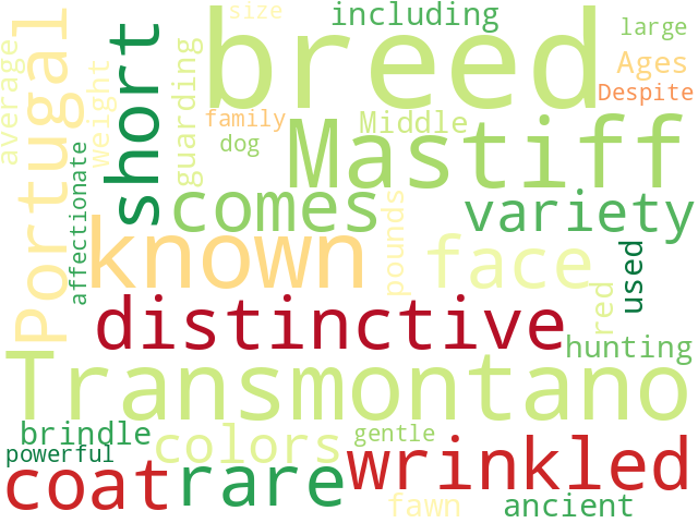 Word Cloud for transmontano_mastiff