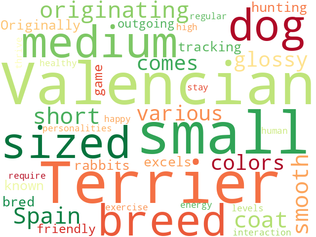Word Cloud for valencian_terrier
