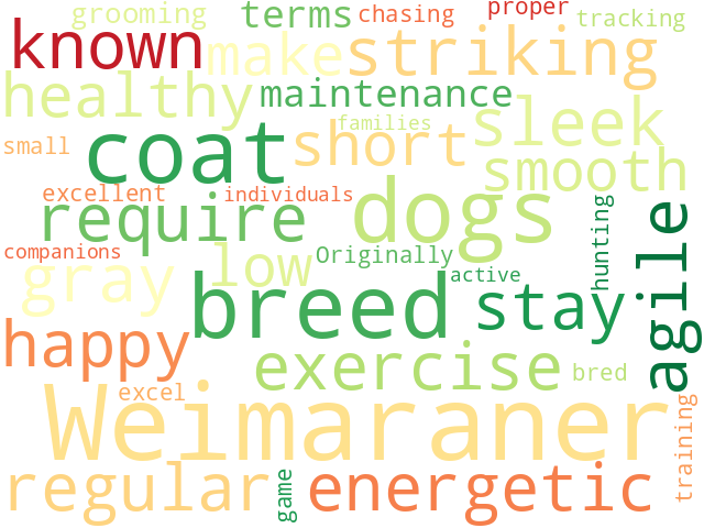 Word Cloud for weimaraner