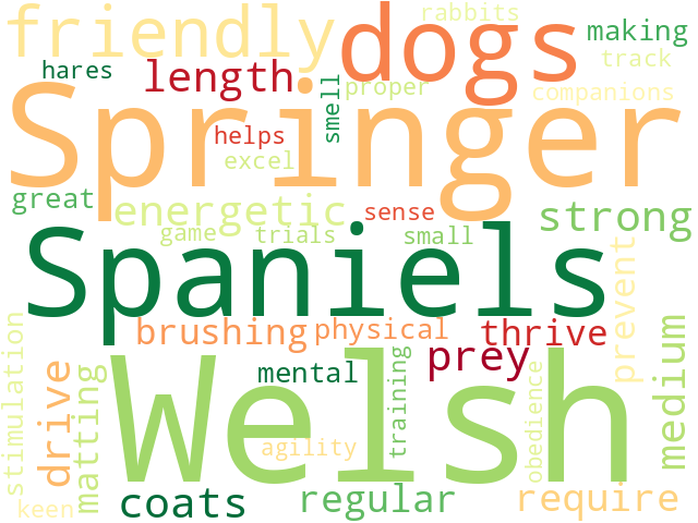Word Cloud for welsh_springer_spaniel