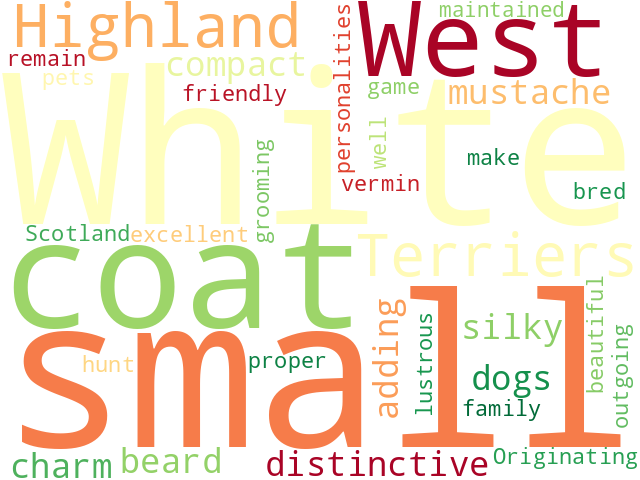 Word Cloud for west_highland_white_terrier