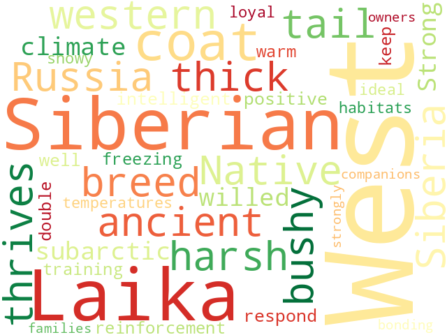Word Cloud for west_siberian_laika