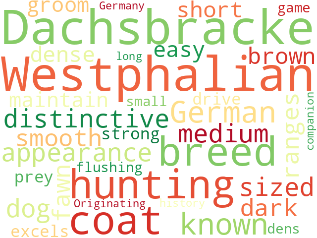 Word Cloud for westphalian_dachsbracke