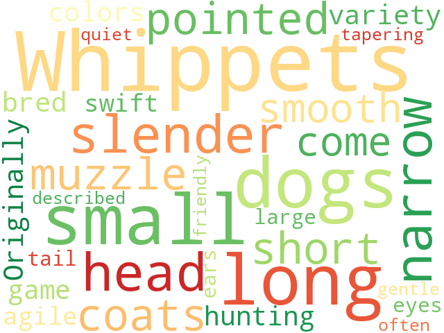 Word Cloud for whippet